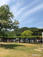 Shibukawa Park