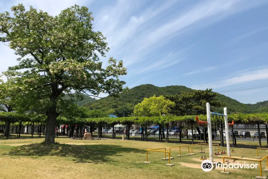 渋川公園