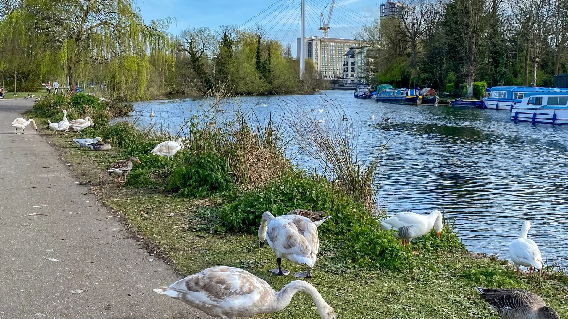 Hotels near Caversham Court