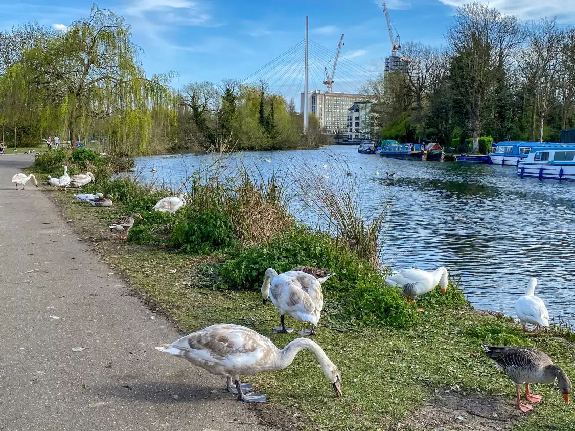 Hotel dekat Caversham Court Gardens