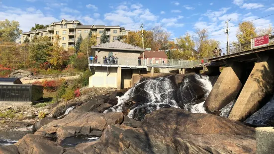 Bracebridge Falls