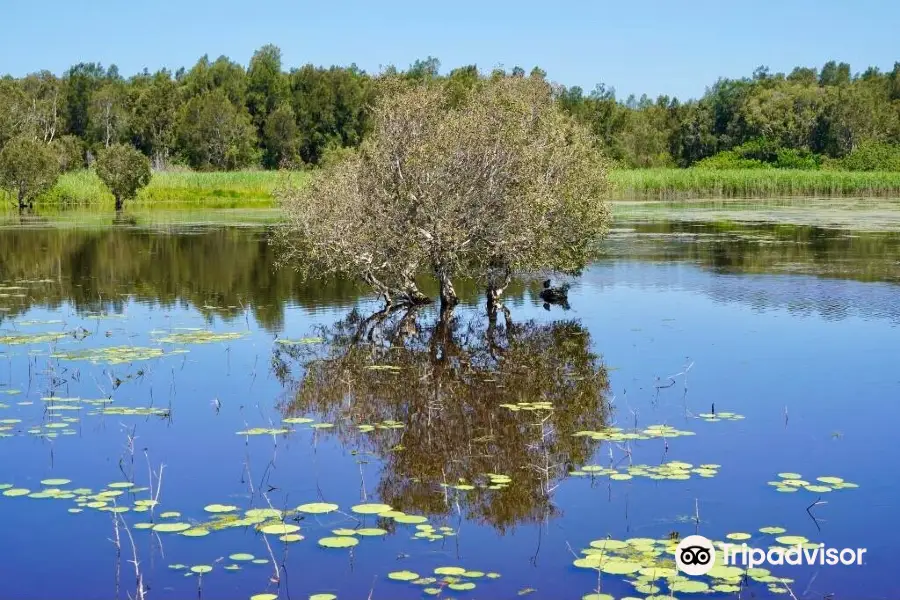 Buckleys Hole Conservation Park