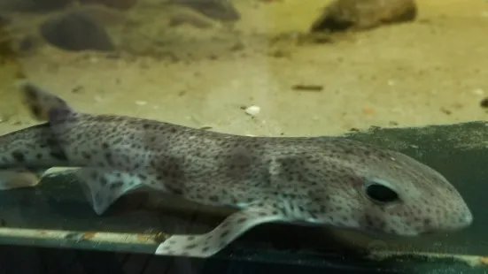 Marine Biology Station Laboe