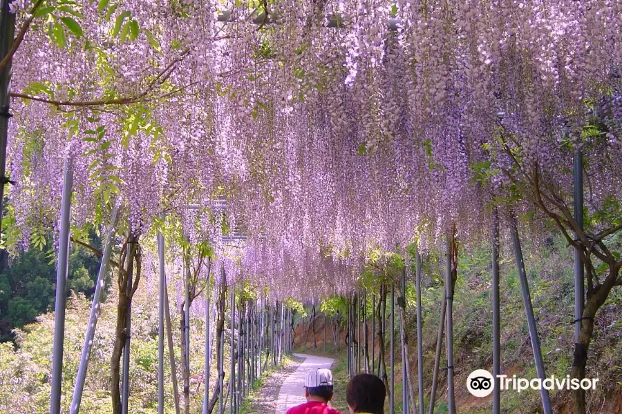 みやまの里森林公園