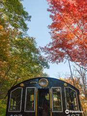 Catskill Mountain Railroad