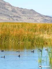 Fish Springs National Wildlife Refuge