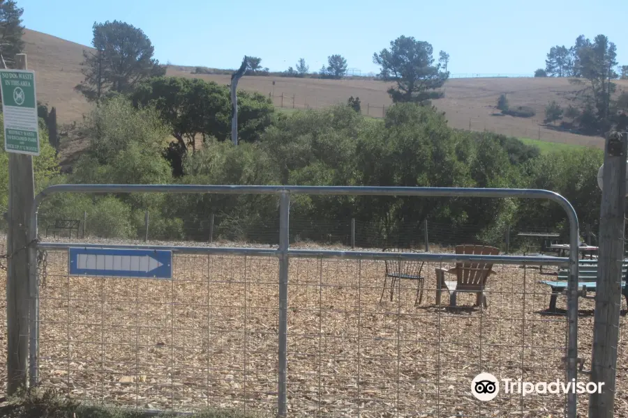 Cambria Dog Park