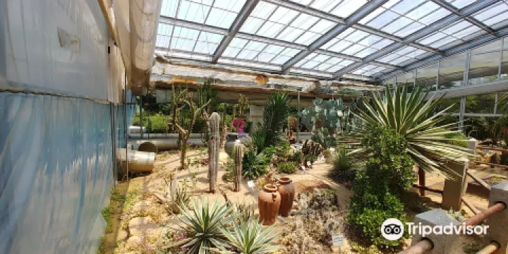 楊平野花樹木園