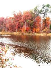 Deam Lake State Recreation Area