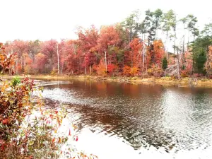 Deam Lake State Recreation Area