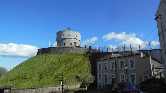 Millmount Museum