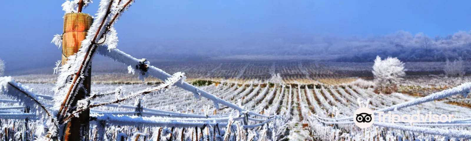 OdenasTours de un día