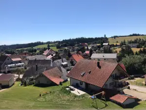 Black Forest of the Senses