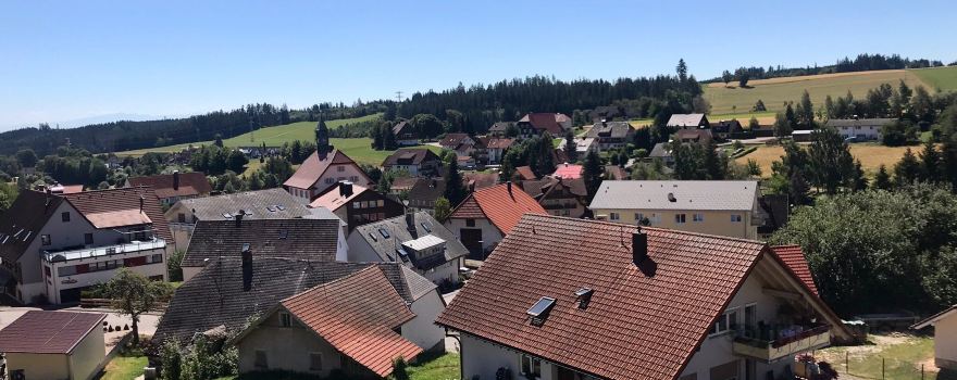 Black Forest of the Senses