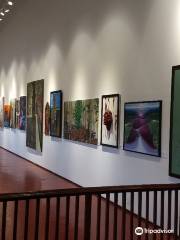 Durbar Hall Art Gallery