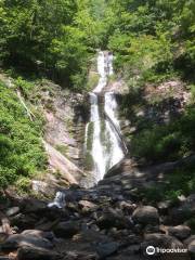 Toms Creek Falls Trail