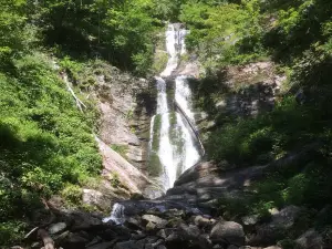 Toms Creek Falls Trail