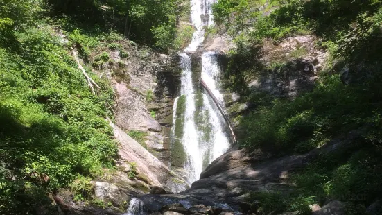 Toms Creek Falls Trail