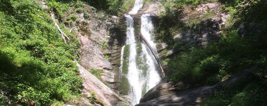 Toms Creek Falls Trail