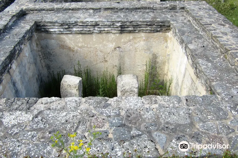 Oppidum de Iruna-Veleia