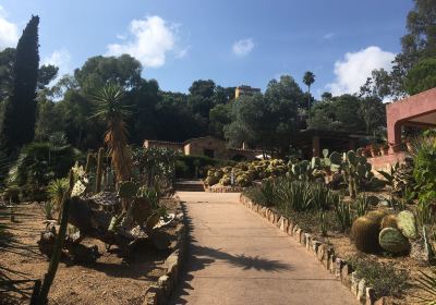 Jardí Botànic Tropical Paratge Pinya de Rosa