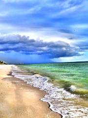 Barefoot Beach County Preserve