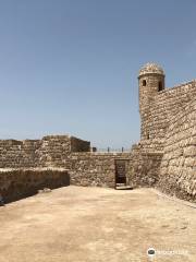 Fort d'Arad