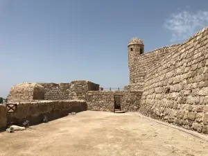 Arad Fort