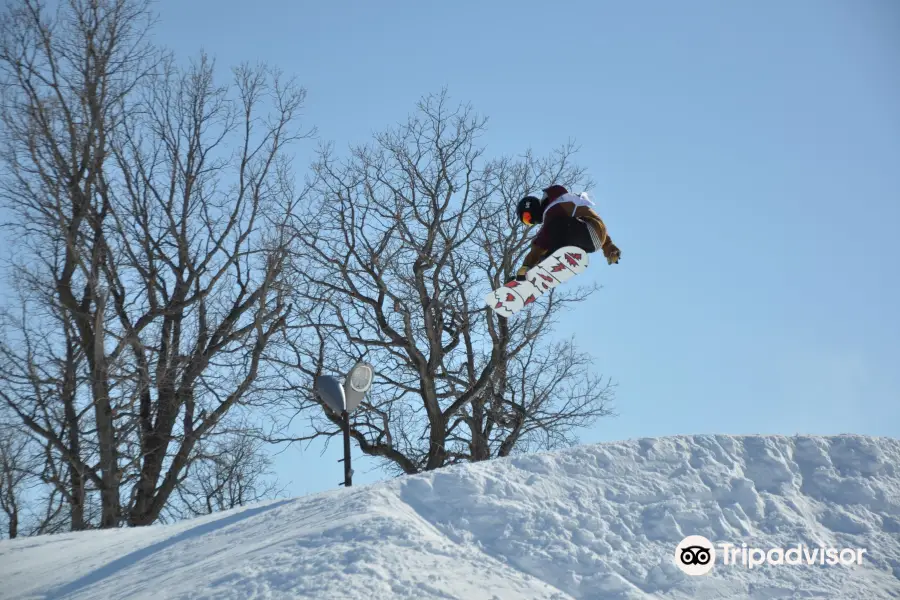 Stony Mountain Ski Area