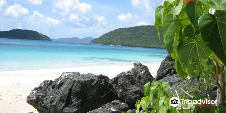 Cinnamon Bay