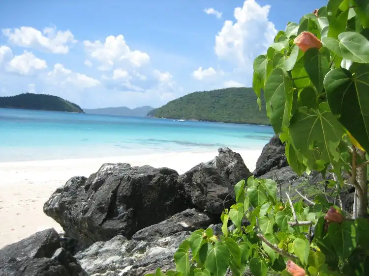 Các khách sạn gần Cinnamon Bay
