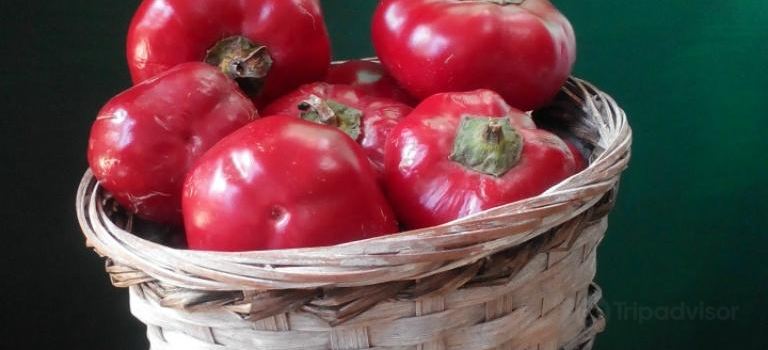 Azienda Agricola Rumma