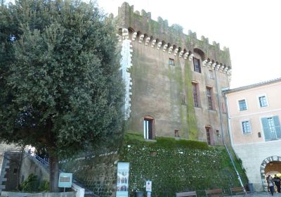 Grimaldi Castle Museum