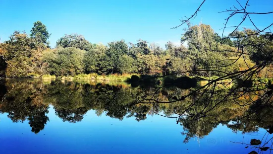 Etang des neuf fontaines