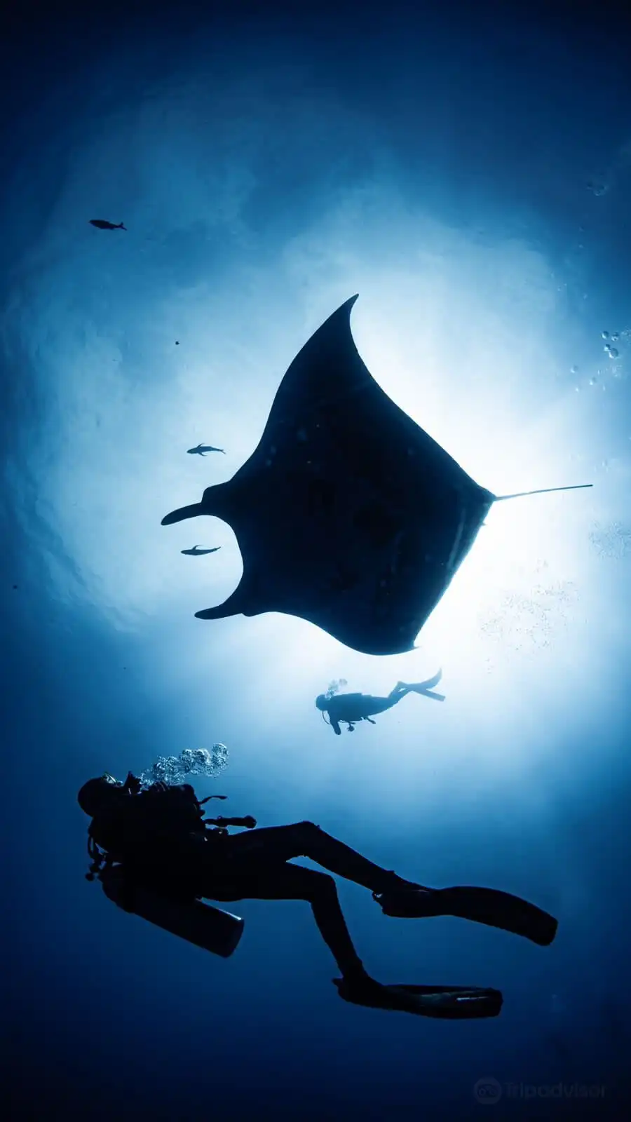 Hotels near Archipielago Revillagigedo