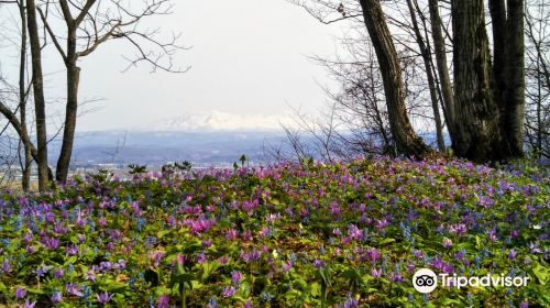 Otokoyama Natural Park