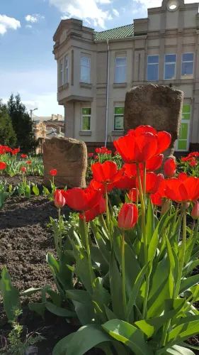 Scythian Statues Open Air Exhibition