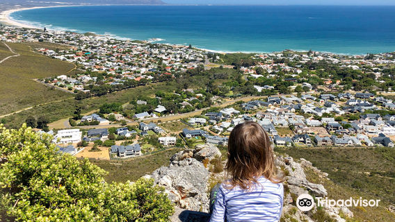 Fernkloof Nature Reserve