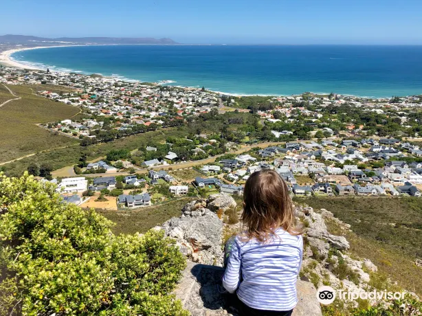 Fernkloof Nature Reserve