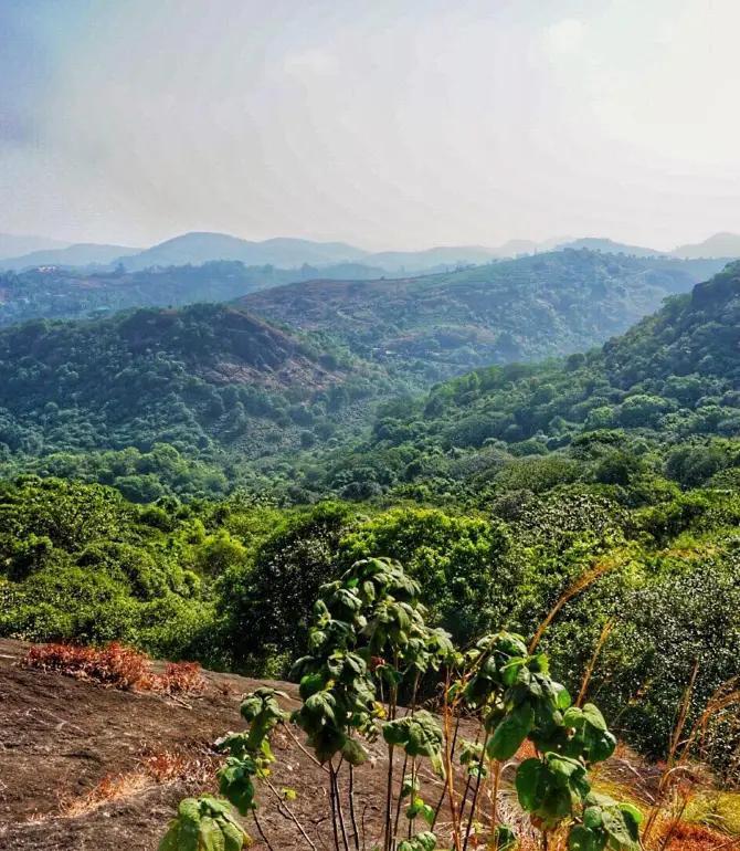 Vagamon