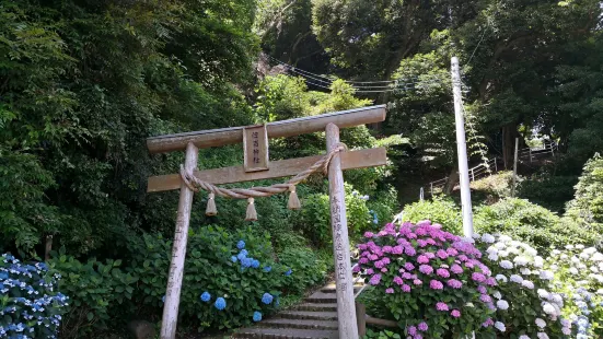 Sumiyoshi Nature Park