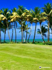 Palmas del Mar Country Club - The Flamboyan Course