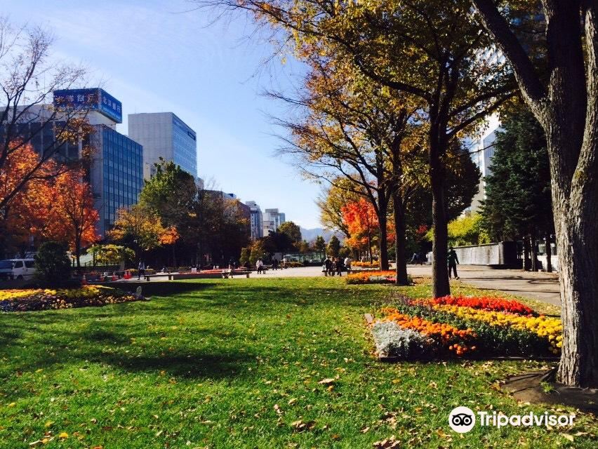 Odori Park Tickets [2025] Promos, Prices, Reviews Opening