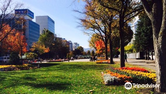 Odori Park