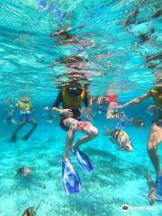 Total Snorkel Cancun