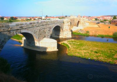 Puente del Passo Honroso