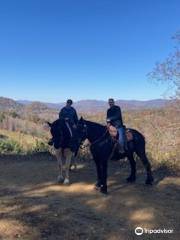 Sandy Bottom Trail Rides