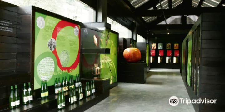Sagardoetxea, Museo de la Sidra Vasca