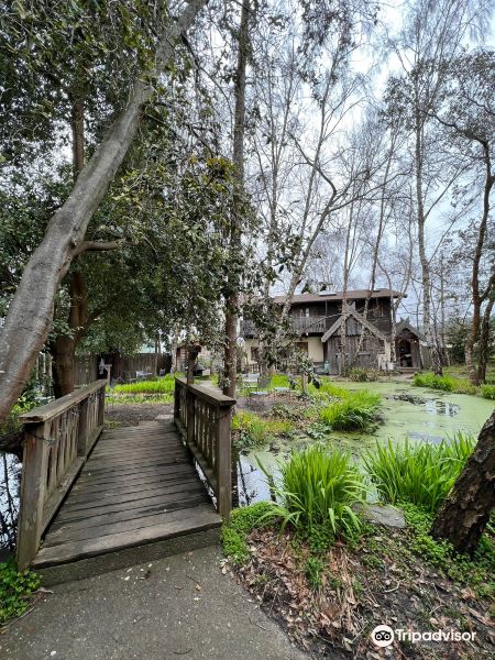 Sofia to Arcata Flights