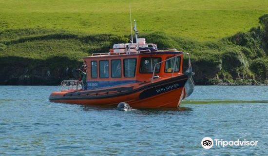 The Great Blasket Island Experience